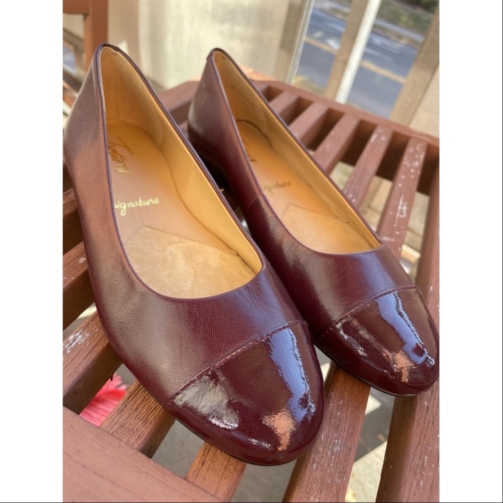 Trotter Signature Flats